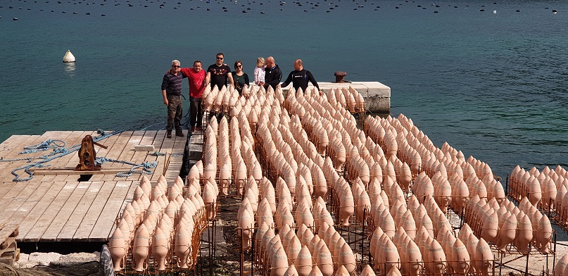 edivo amphorae
